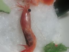 -大渔之观(安贞店)