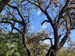 -塔川景区