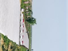 -盐城丹顶鹤湿地生态旅游区