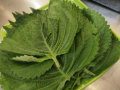 -老三李村河底戳子肉(总店)
