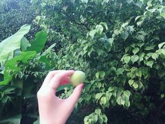 -钟山体育运动公园