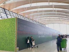 -上海浦东国际机场-T2航站楼