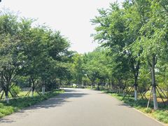 -东湖落雁景区