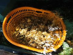 -东豪园林海鲜酒家(南港路辅路店)