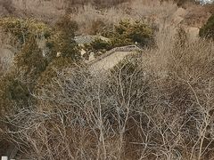 -白水寺森林公园