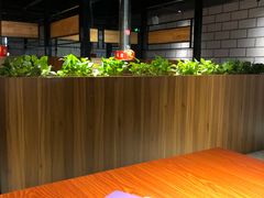 -山之屋炭火烧肉·生啤畅饮(大朗万科中央公园店)