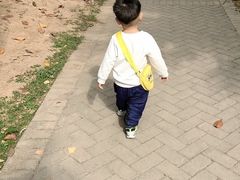 -堤角公园