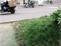 -邓记新一代糖油果子(四川煤管局供销公司职工宿舍店)