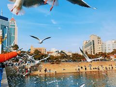 -栈桥景区