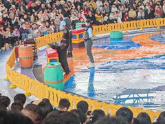 -海合安武汉极地海洋公园