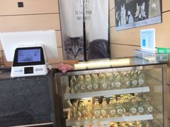 -瞄一喵猫咖(格力海岸店)