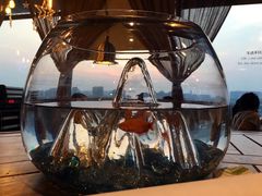 -烛影拾光观景餐厅·创意菜·摄影·小提琴(大唐不夜城店)