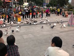 -KKV(深圳宏发大仟里店)