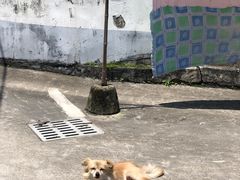 -东钱湖旅游度假区