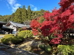 -西芳寺(苔寺)
