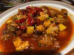 馋嘴肥肠鸡-绿茶餐厅(乐峰广场店)