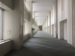 -东京都厅舍