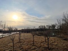 -天津东丽湖风景区