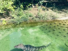 -上方山森林动物世界
