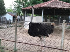 -意大利农场度假村