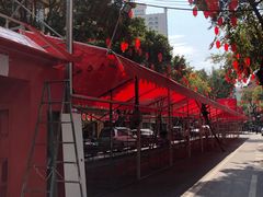 -越秀西湖花市(广州城市广场花卉店)