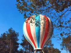 -铁山坪森林公园