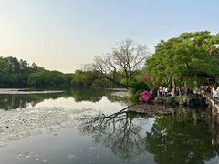 -西湖游船