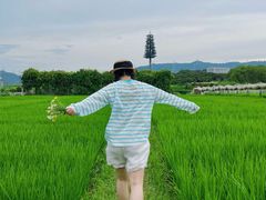 -光明小镇欢乐田园