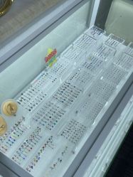 -AI艾耳·专业手工耳洞·穿孔美学馆