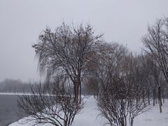 -大兴滨河森林公园