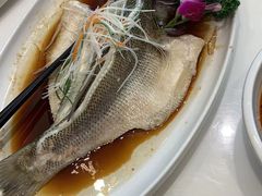 -刘胖子家常菜·蹄花焖藕(兴业店)