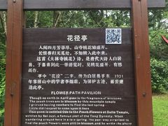 -庐山风景区花径公园