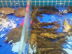 -黑金·寻焰自助百汇·烤肉·火锅(中街店)