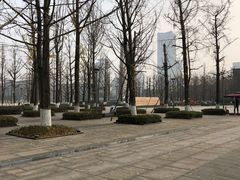 -百林公园-两江幸福广场