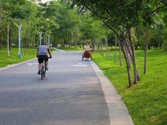 -长白岛森林公园