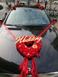 -蚂蚁婚车