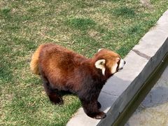 -水上乐园·欢乐世界