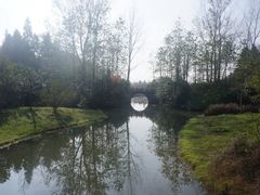 -溱湖国家湿地公园