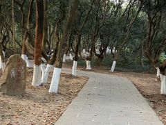 -广州市红十字会医院(总院)