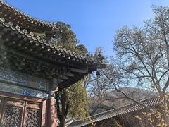 -潭柘寺景区