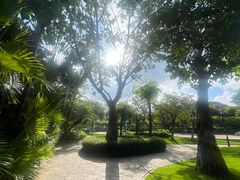 -三亚凤凰水城凯莱度假酒店