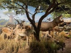 -陕西自然博物馆