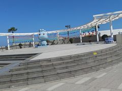 -碧海金沙