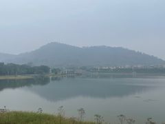 -风云岭森林公园