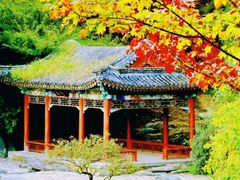 -香山公园