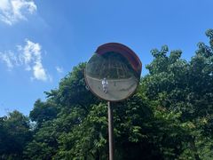 -阳台山森林公园