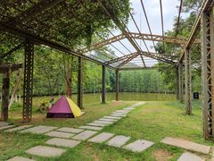 -番禺大夫山森林公园