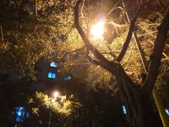 -王浩儿纪六孃甜皮鸭(乐山总店)