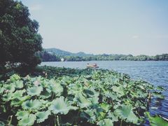 -郭庄茶室