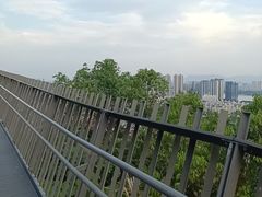 -福道